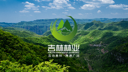 企业案例